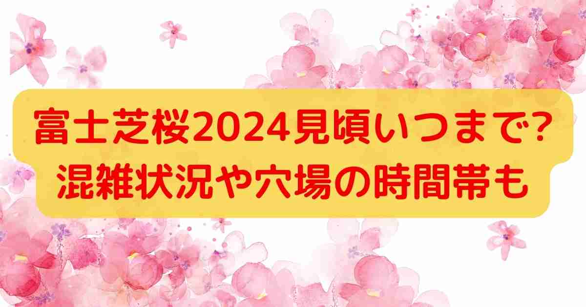 富士芝桜2024見頃いつまで?混雑状況や穴場の時間帯も